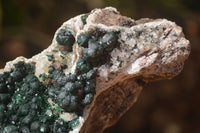 Natural Rare Ball Malachite On Drusy Quartz & Dolomite Matrix Specimens  x 2 From Kambove, Congo - Toprock Gemstones and Minerals 