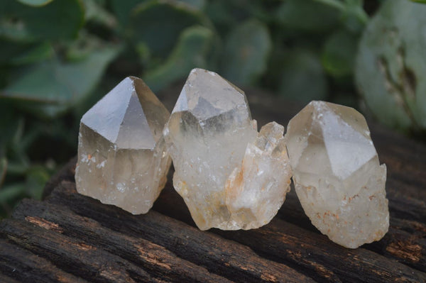 Natural Single Smokey Quartz Crystals  x 4.9 Kg Lot  From Zimbabwe