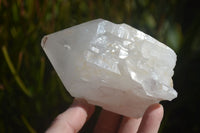Natural Large White Quartz Crystals  x 6 From Madagascar - Toprock Gemstones and Minerals 