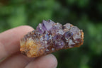 Natural Small Dark "Amethystos" Amethyst Clusters  x 35 From Kwaggafontein, South Africa - Toprock Gemstones and Minerals 
