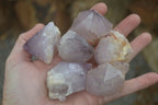 Natural Single Spirit Amethyst Quartz Crystals  x 24 From Boekenhouthoek, South Africa - Toprock Gemstones and Minerals 
