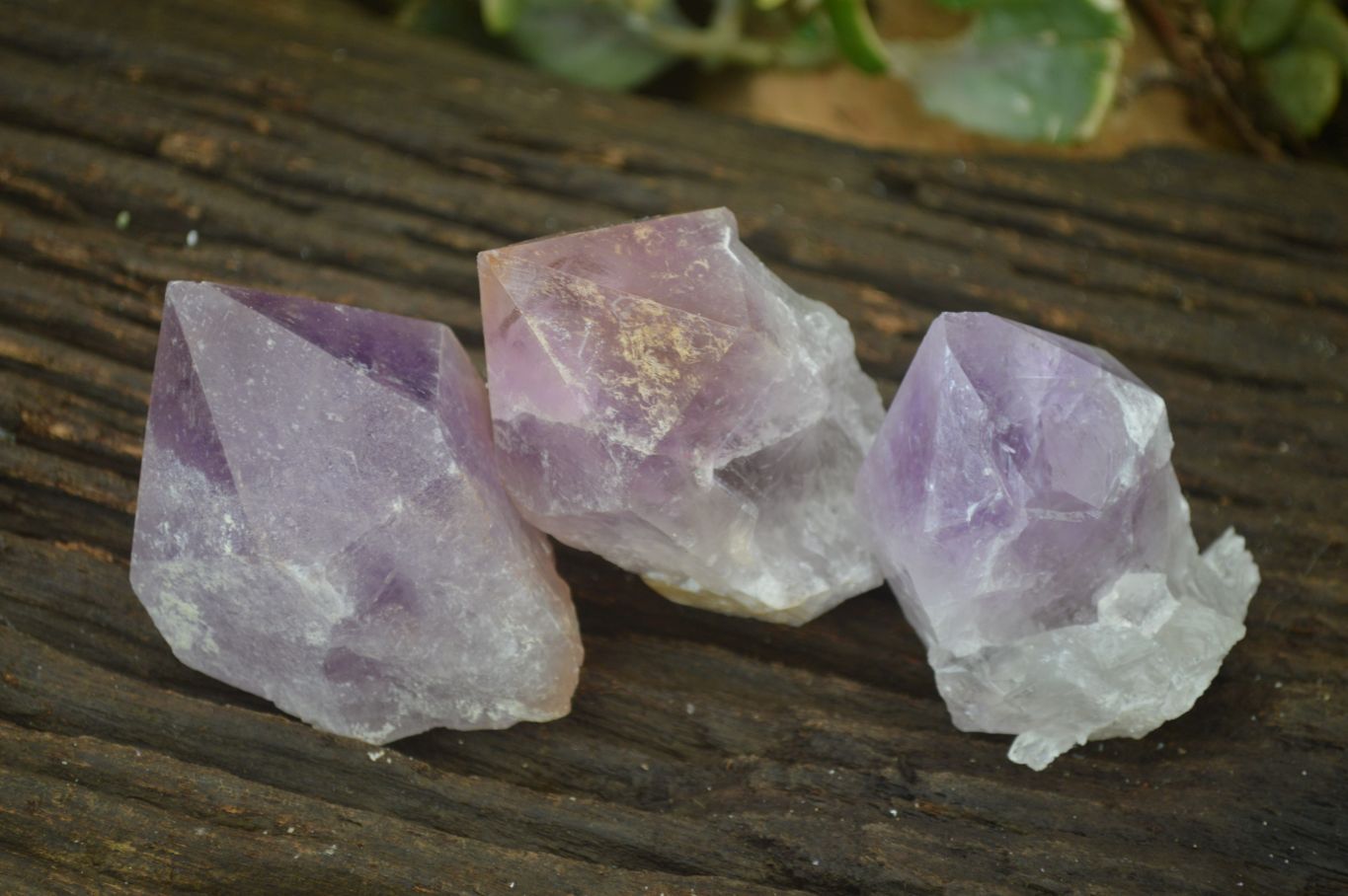 Natural Single Jacaranda Amethyst Crystals x 12 From Mumbwe, Zambia - Toprock Gemstones and Minerals 