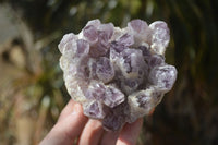 Natural Sugar Amethyst Clusters  x 4 From Zambia - Toprock Gemstones and Minerals 