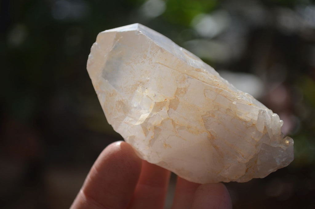 Natural Large Single Quartz Crystals  x 31 From Madagascar - Toprock Gemstones and Minerals 