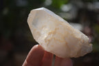 Natural Large Single Quartz Crystals  x 31 From Madagascar - Toprock Gemstones and Minerals 