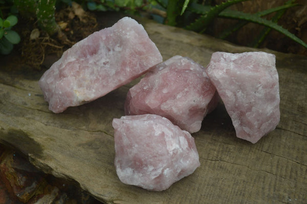 Natural Rough Pink Rose Quartz Specimens  x 4 From Namibia - Toprock Gemstones and Minerals 