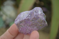 Natural Rough Stichtite Cobbed Specimens x 24 From Barberton, South Africa - Toprock Gemstones and Minerals 