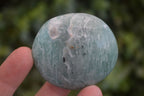 Polished Blue Amazonite Palm Stones  x 12 From Ambositra, Madagascar - Toprock Gemstones and Minerals 