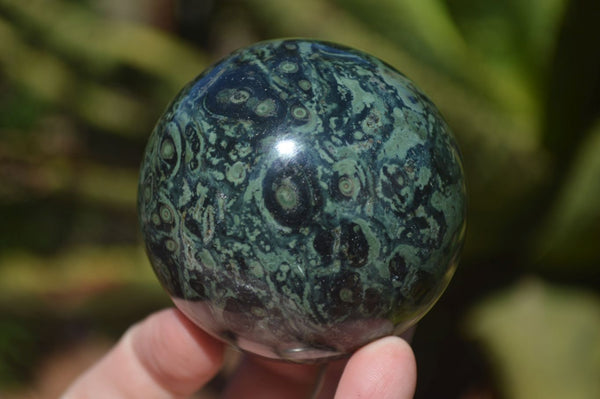 Polished Stromatolite / Kambamba Jasper Spheres  x 4 From Madagascar