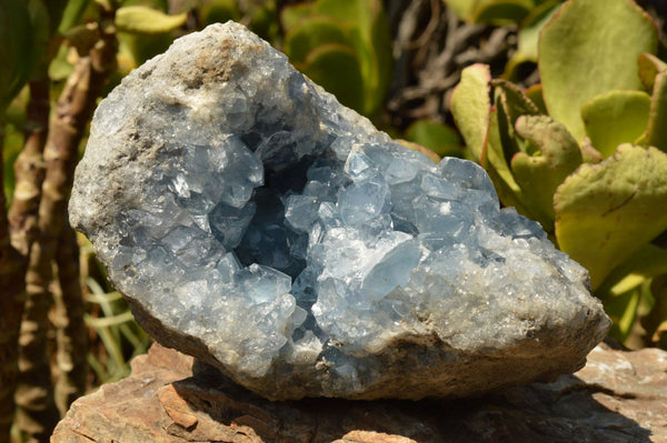 Natural Blue Celestite Specimen With Gemmy Crystals  x 1 From Sakoany, Madagascar - TopRock