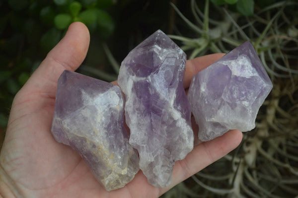 Polished Single Jacaranda Amethyst Crystals  x 6 From Zambia - Toprock Gemstones and Minerals 