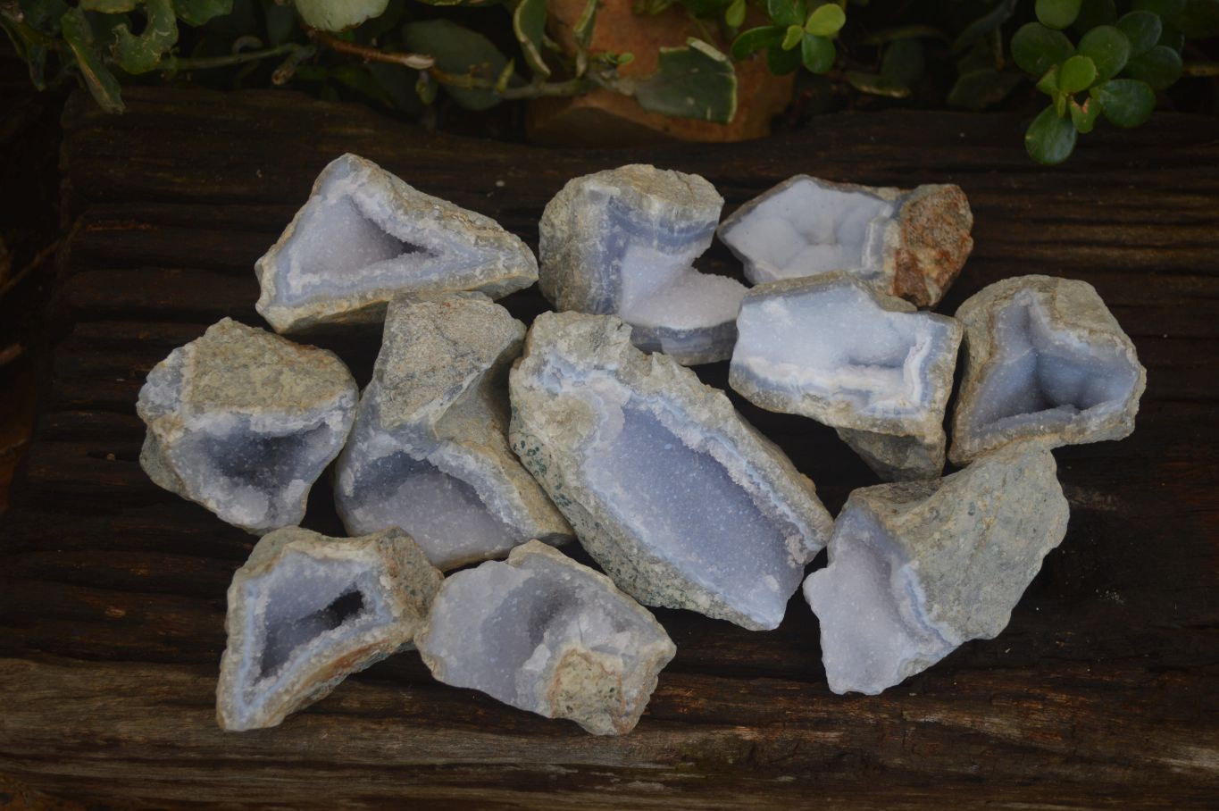 Natural Blue Lace Agate Geode Specimens  x 12 From Nsanje, Malawi - Toprock Gemstones and Minerals 