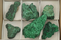 Natural Chatoyant Silky Malachite Specimens  x 6 From Kasompe, Congo - TopRock