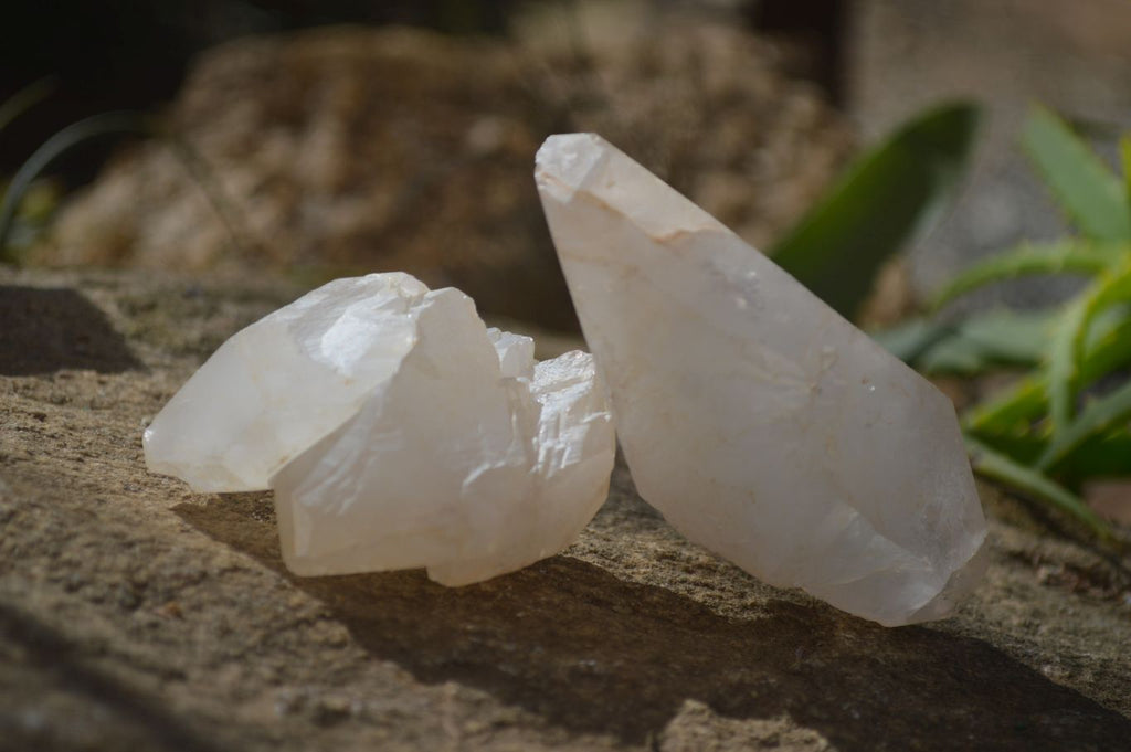 Natural Large Single Quartz Crystals  x 31 From Madagascar - Toprock Gemstones and Minerals 