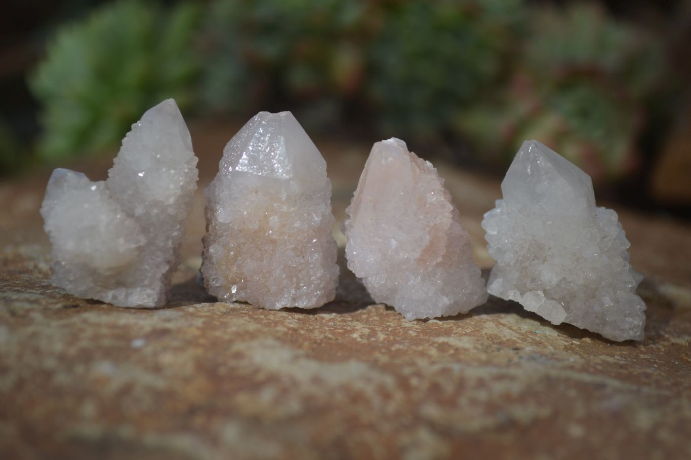 Natural Single White Spirit Quartz Crystals x 70 From Boekenhouthoek, South Africa - Toprock Gemstones and Minerals 