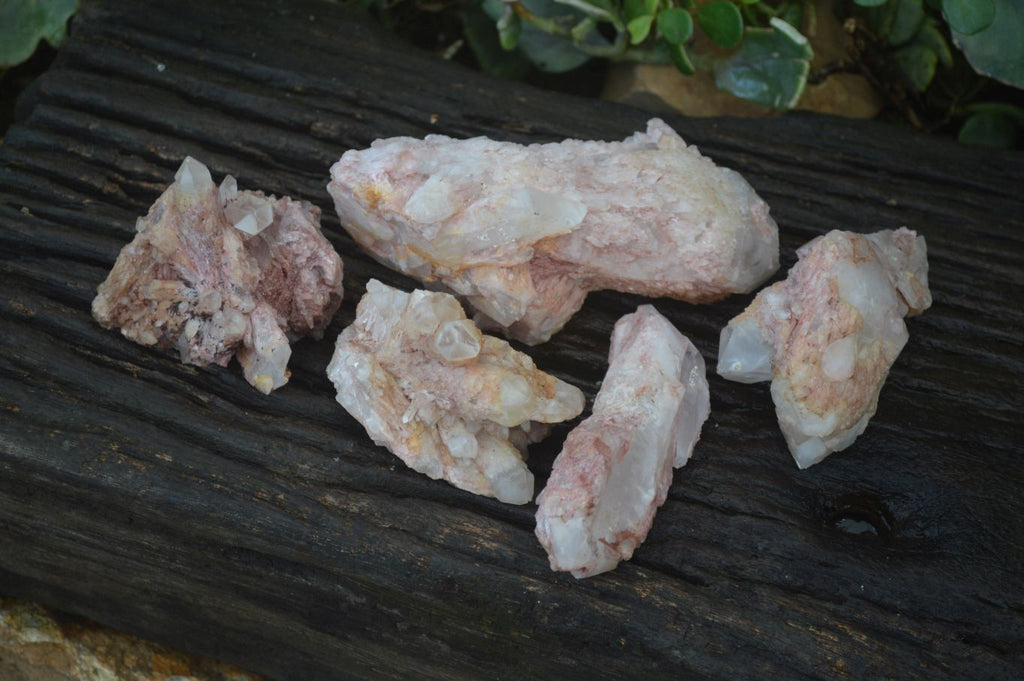 Natural Pink Candle Quartz Specimens   x 5 From Madagascar - Toprock Gemstones and Minerals 