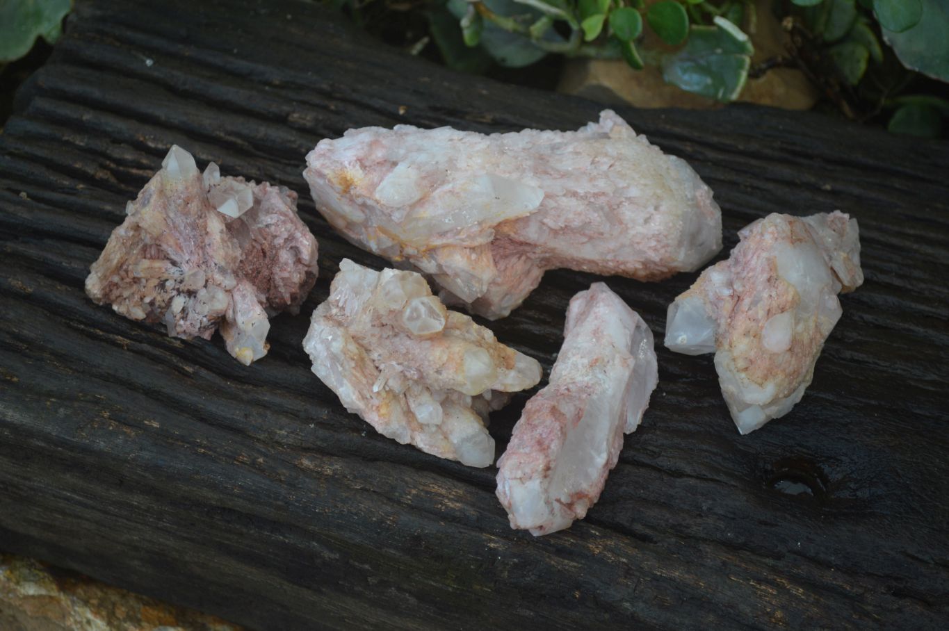 Natural Pink Candle Quartz Specimens   x 5 From Madagascar - Toprock Gemstones and Minerals 