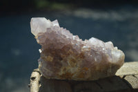 Natural Large Spirit Ametrine Quartz Specimens  x 3 From Boekenhouthoek, South Africa - Toprock Gemstones and Minerals 