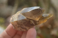 Natural Clear Smokey Quartz Crystals  x 12 From Malawi - Toprock Gemstones and Minerals 