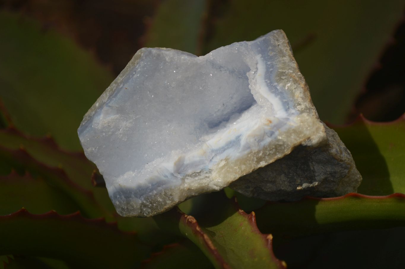 Natural Blue Lace Agate Geode Specimens  x 12 From Nsanje, Malawi - Toprock Gemstones and Minerals 
