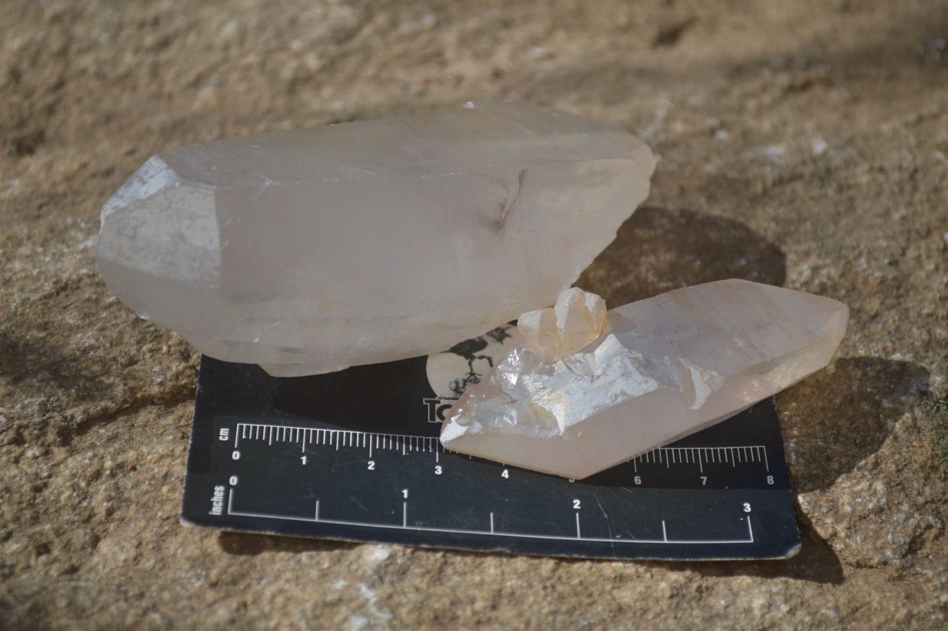 Natural Large Single Quartz Crystals  x 31 From Madagascar - Toprock Gemstones and Minerals 