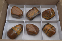 Polished Golden Tigers Eye Free Forms x 6 From Prieska, South Africa