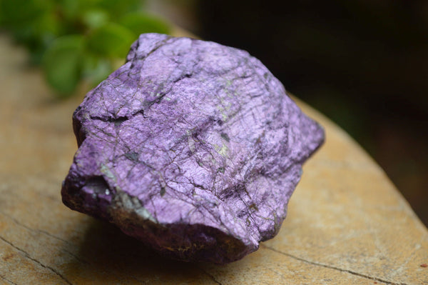 Natural Rare Purpurite Cobbed Specimens x 12 From Erongo, Namibia - TopRock