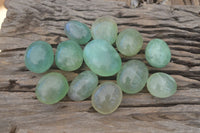 Polished Gemmy Emerald Fluorite Palm Stones  x 12 From Madagascar