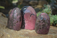 Polished Pink & Black Rhodonite Standing Free Forms x 3 From Madagascar - Toprock Gemstones and Minerals 