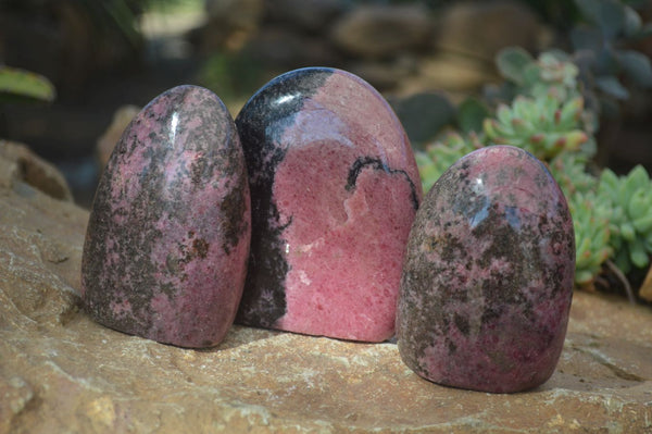 Polished Pink & Black Rhodonite Standing Free Forms x 3 From Madagascar - Toprock Gemstones and Minerals 
