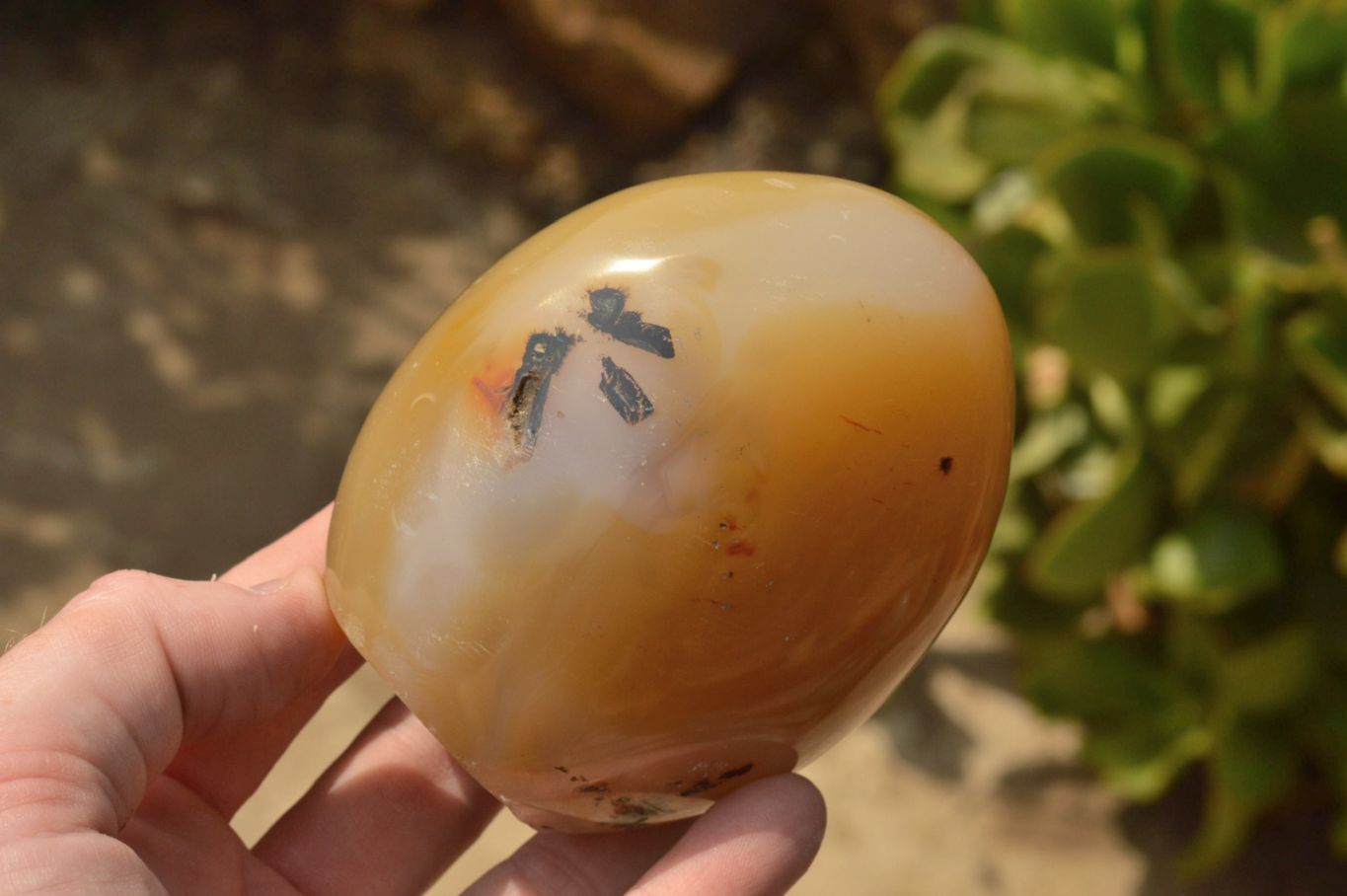Polished Dendritic Agate Standing Free Forms  x 3 From Moralambo, Madagascar - TopRock