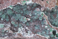 Natural Extra Large Drusy Coated Malachite On Red Dolomite Specimen x 1 From Likasi, Congo - Toprock Gemstones and Minerals 