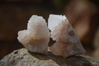 Natural Single White Spirit Quartz Crystals x 70 From Boekenhouthoek, South Africa - Toprock Gemstones and Minerals 