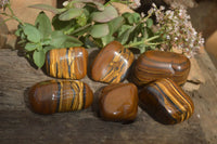 Polished Golden Tigers Eye Free Forms x 6 From Prieska, South Africa