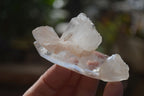 Natural Large Single Quartz Crystals  x 31 From Madagascar - Toprock Gemstones and Minerals 