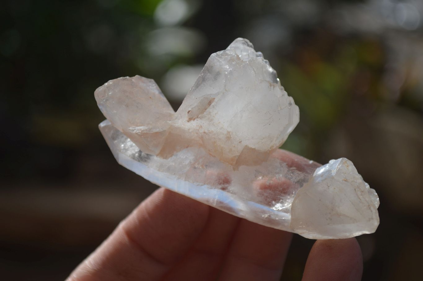 Natural Large Single Quartz Crystals  x 31 From Madagascar - Toprock Gemstones and Minerals 