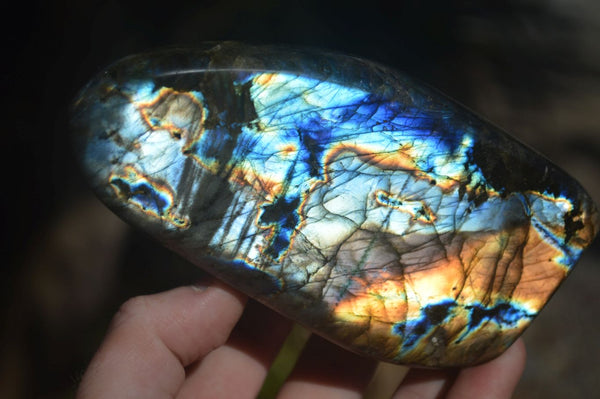 Polished Flashy Labradorite Standing Free Forms  x 2 From Tulear, Madagascar