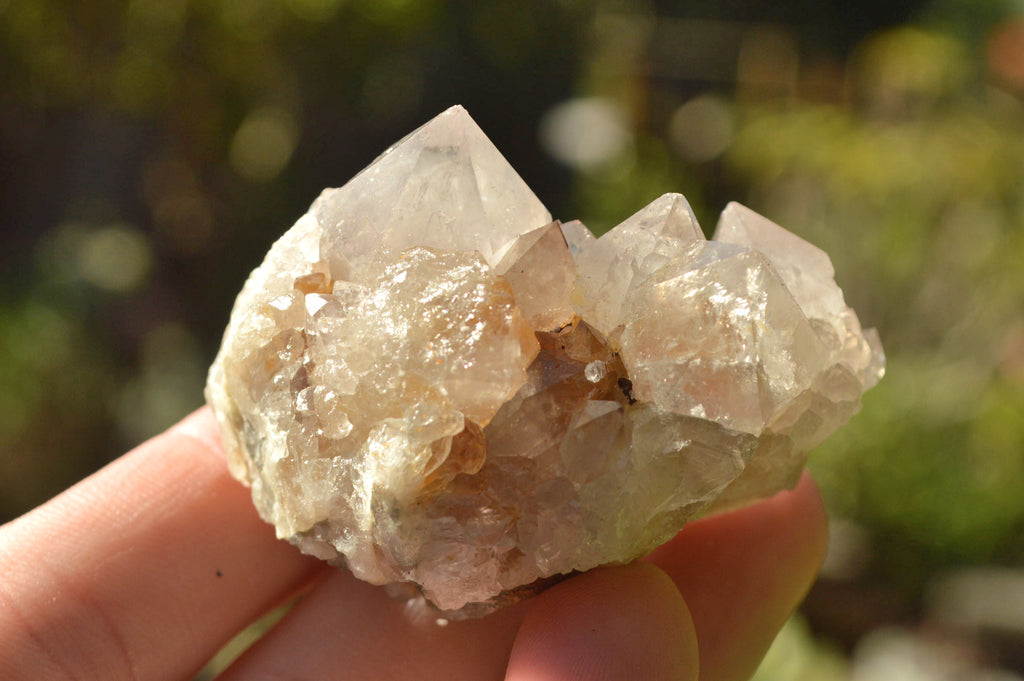Natural Mixed Selection Of Small Spirit Quartz Crystals  x 35 From Boekenhouthoek, South Africa - TopRock