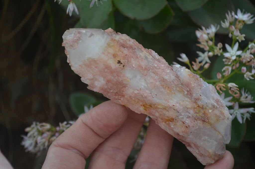 Natural Pink Candle Quartz Specimens   x 5 From Madagascar - Toprock Gemstones and Minerals 