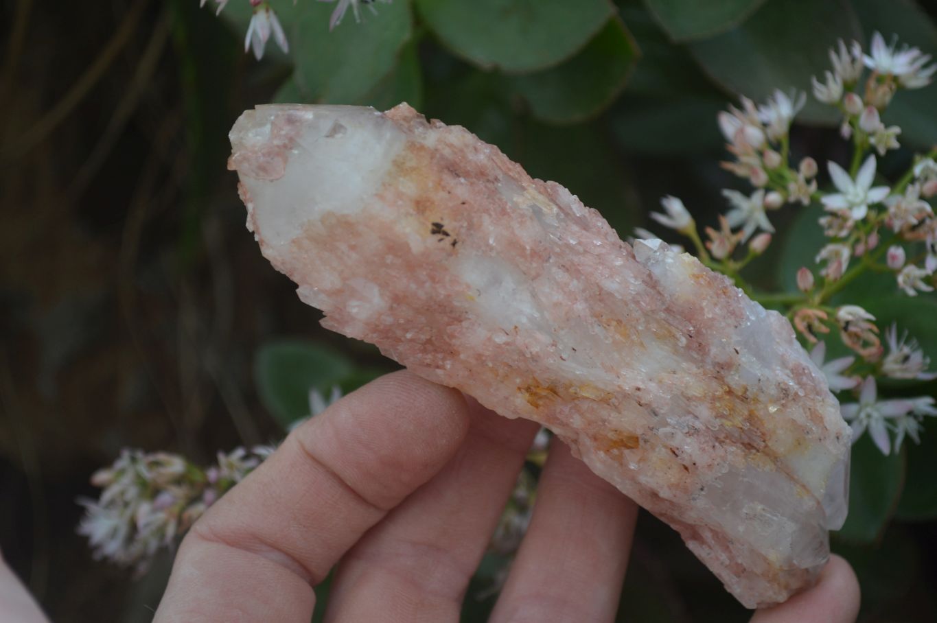 Natural Pink Candle Quartz Specimens   x 5 From Madagascar - Toprock Gemstones and Minerals 