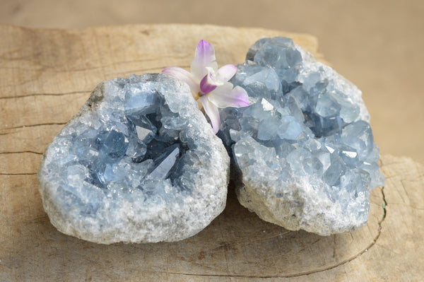 Natural Blue Celestite Geode Specimens With Semi Gemmy Crystals  x 2 From Sakoany, Madagascar - TopRock