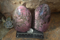 Polished Pink & Black Rhodonite Standing Free Forms x 3 From Madagascar - Toprock Gemstones and Minerals 