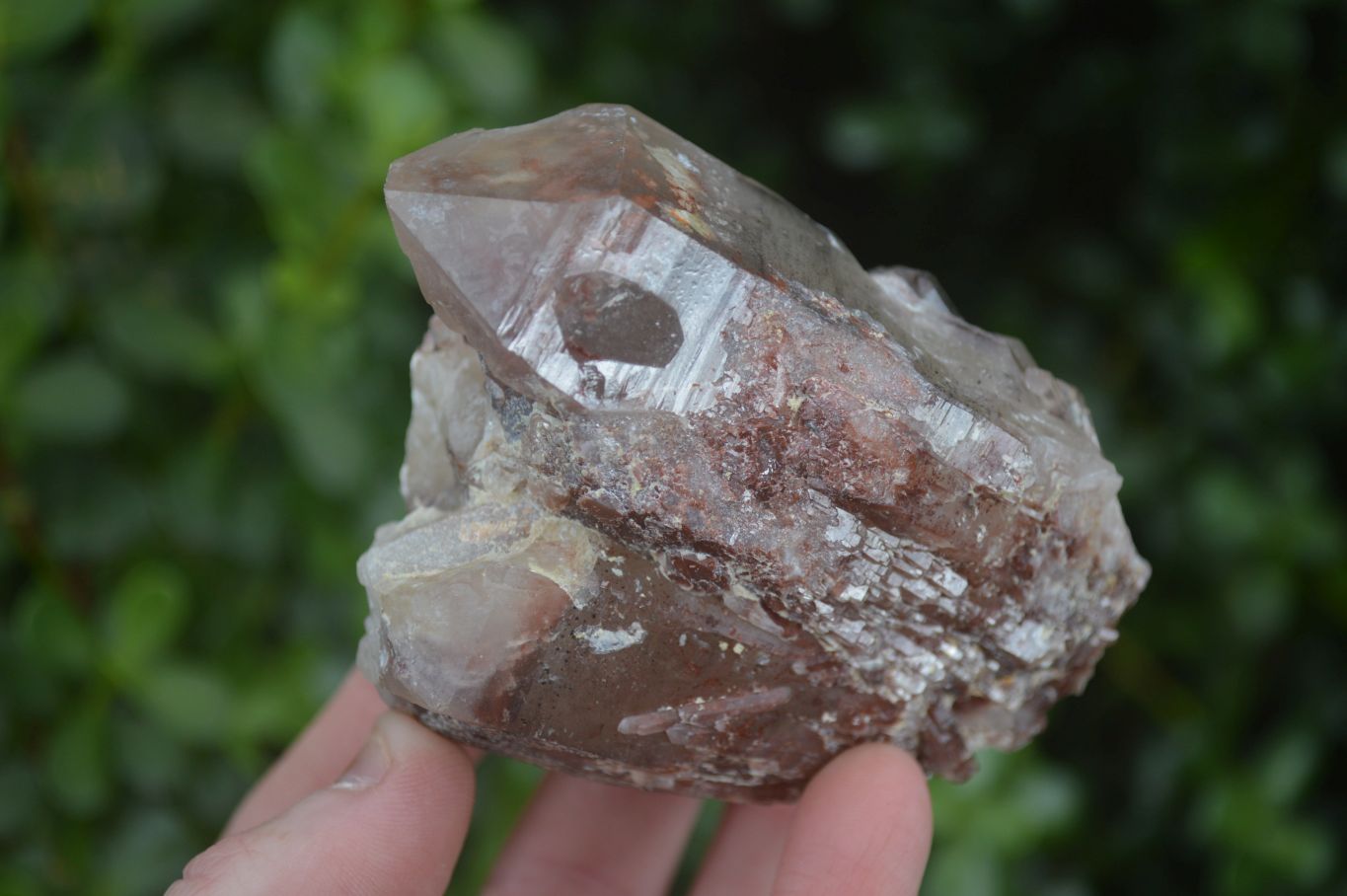 Natural Red Hematoid Quartz Clusters x 6 From Karoi, Zimbabwe - Toprock Gemstones and Minerals 