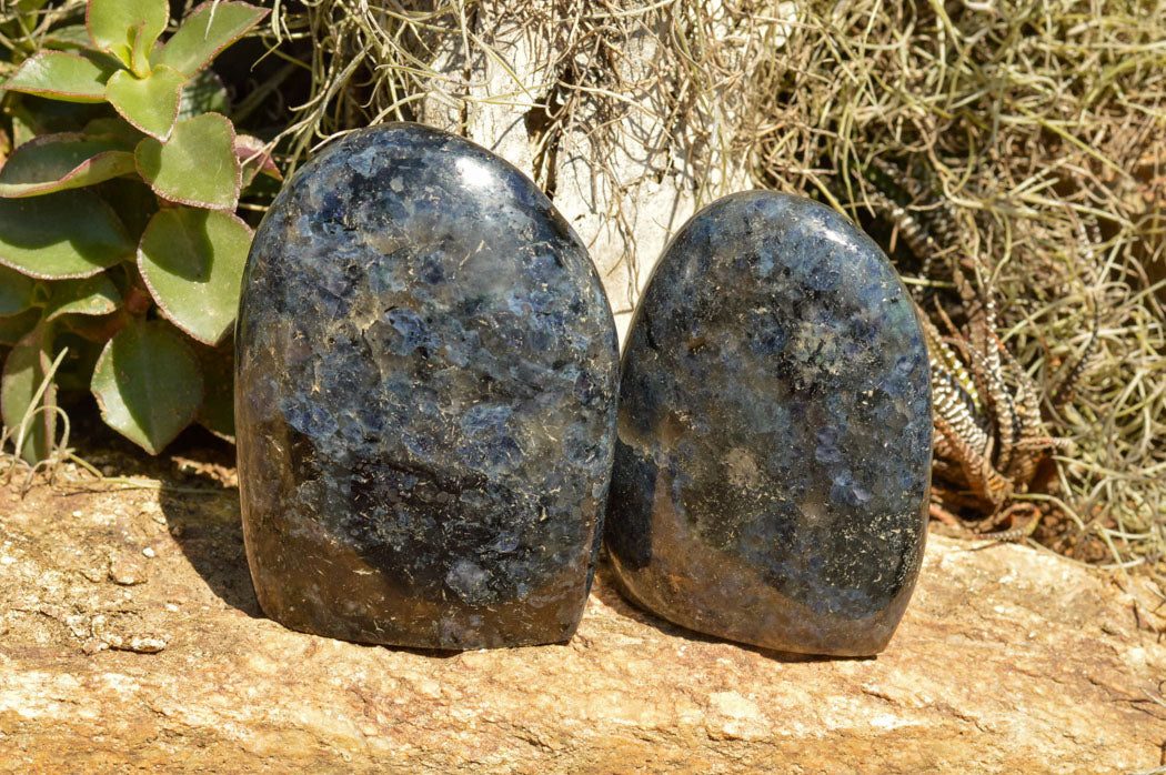 Polished Rare Iolite / Water Sapphire Standing Free Forms  x 3 From Madagascar - TopRock