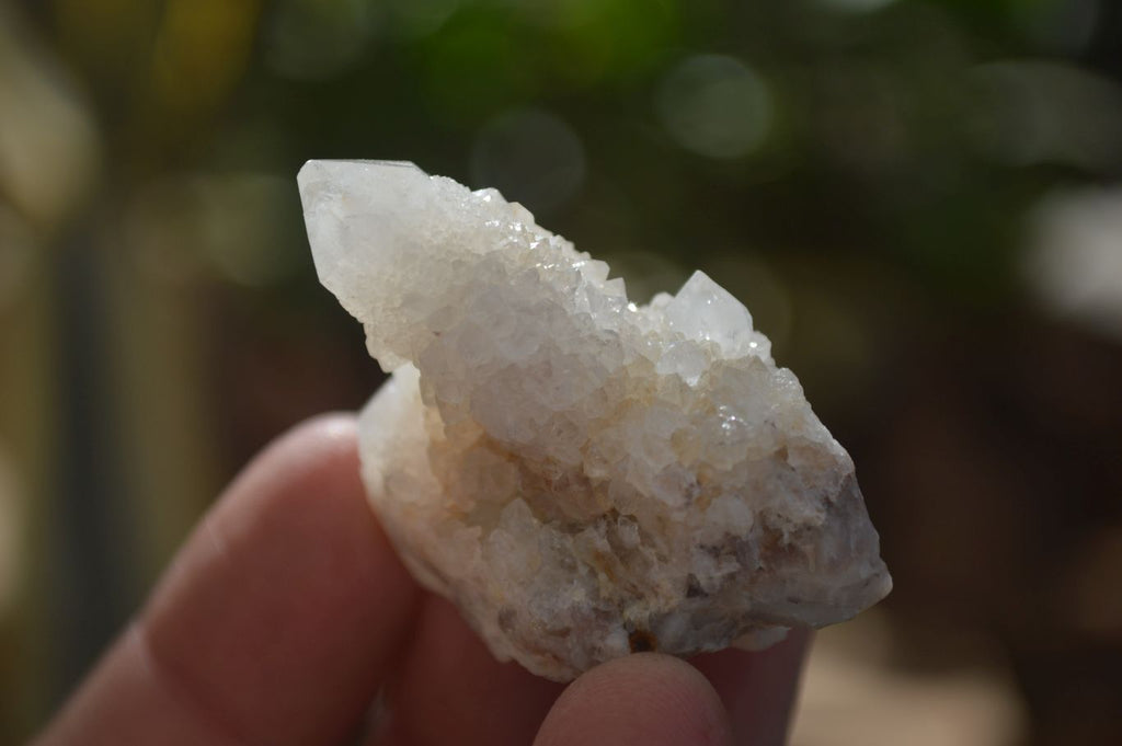 Natural Single White Spirit Quartz Crystals x 70 From Boekenhouthoek, South Africa - Toprock Gemstones and Minerals 