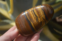 Polished Golden Tigers Eye Free Forms x 6 From Prieska, South Africa