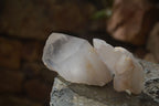 Natural Large Single Quartz Crystals  x 31 From Madagascar - Toprock Gemstones and Minerals 