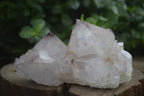 Natural Extra Large Spirit Quartz Crystals  x 4 From Boekenhouthoek, South Africa - Toprock Gemstones and Minerals 