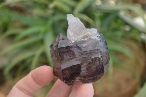 Natural Large Smokey Amethyst Crystal Specimens  x 6 From Chiredzi, Zimbabwe - Toprock Gemstones and Minerals 