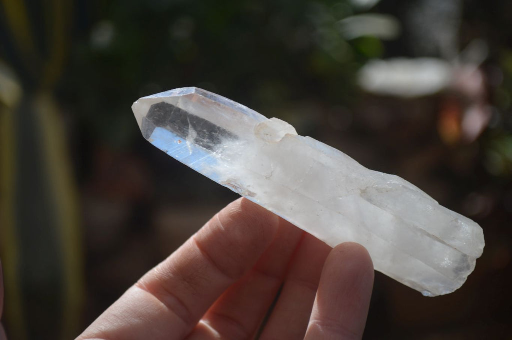 Natural Large Single Quartz Crystals  x 31 From Madagascar - Toprock Gemstones and Minerals 